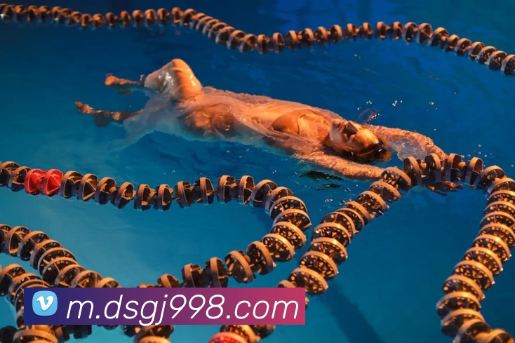 东升国际平台生态图